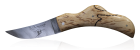 Bouleau gelé