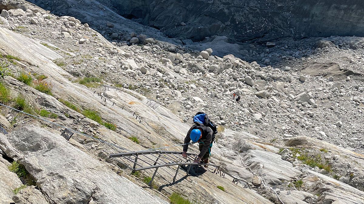 loupe arolle bois fossile mer de glace