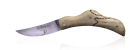 Bouleau gelé
